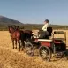 Juan Manuel