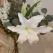 Pilar