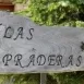 Marimar