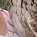 Teresa