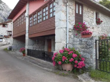 Casa de Aldea La Pongueta