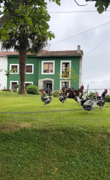 Casa La Pereda