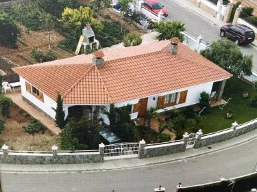 Vino que del Cielo Vino