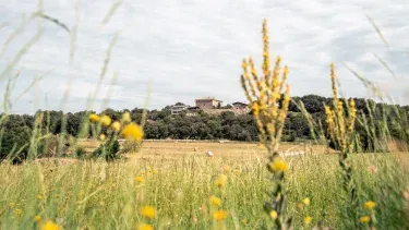 La Serra Sport & Wellness