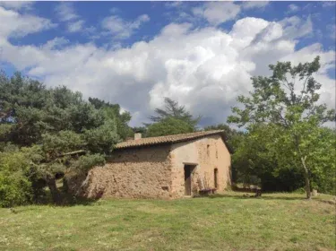 MonTornes Silvestre