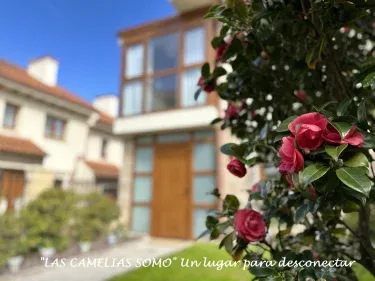 Casa Las Camelias Somo