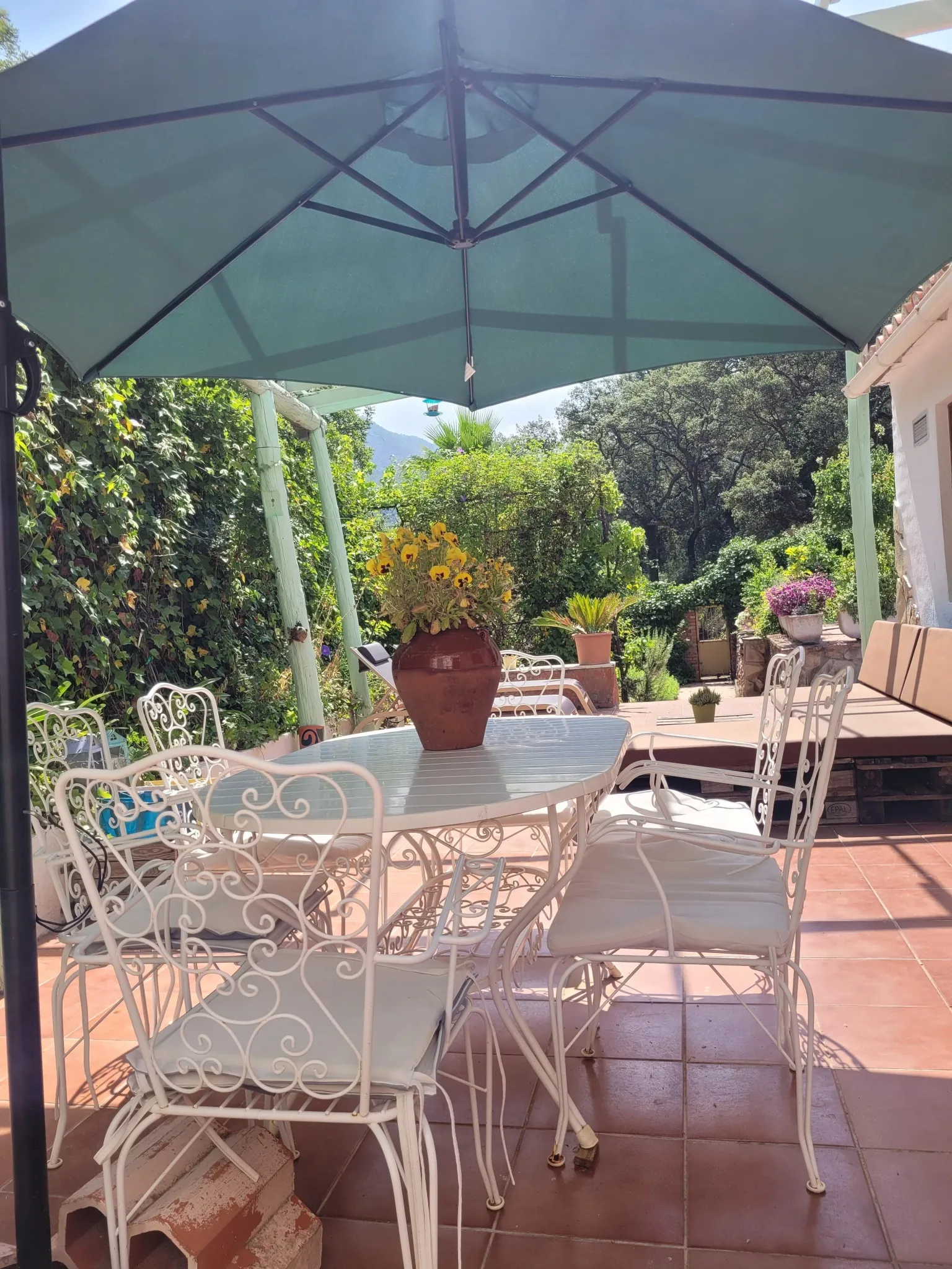 Trocito de Paraíso en el Espadán