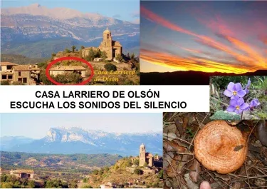 Casa Larriero de Olsón