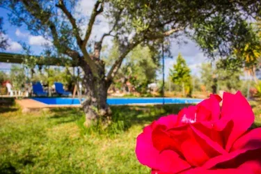 Casa Rural Los Duranes