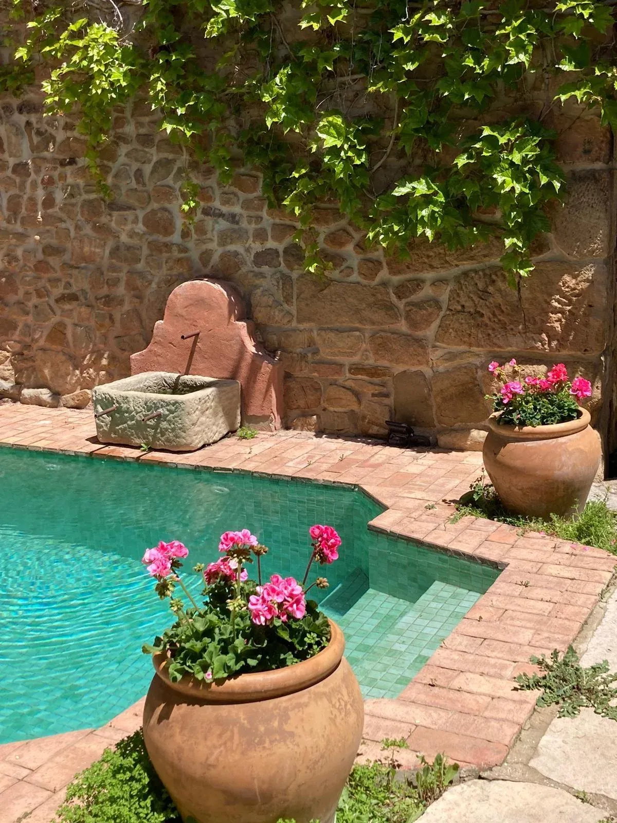 La Casa del Bosque