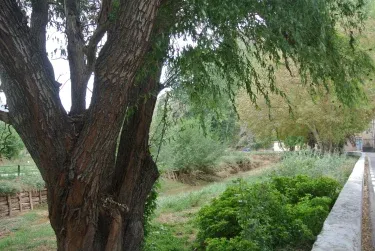 Casa de la Abuela María