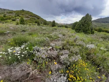 Casa Rural Casa Villanueva