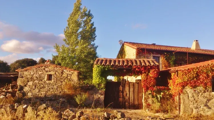 El Coraz n Verde En Badilla