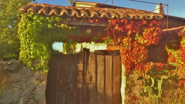 El Coraz n Verde En Badilla