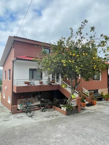 Apartamentos Rovi