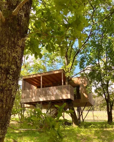Enoturismo María Manuela