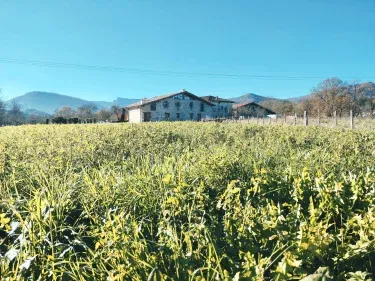 Casa Rural Aldamoli Landetxea 