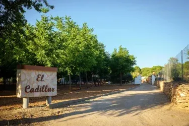 El Cadillar