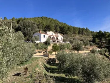 Pilar de la Sima
