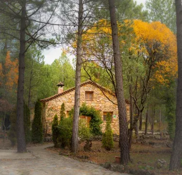 Casas Rurales Fuente el Ojico