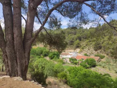 Casa Rural Arroyo Madera