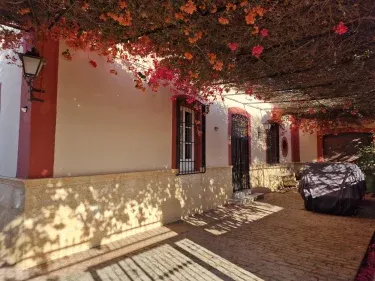 Cortijo Palanca
