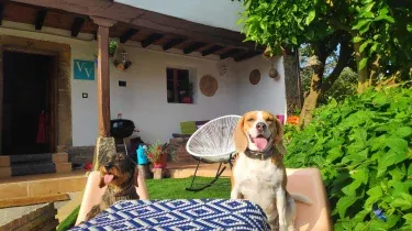 El sueño del viajero
