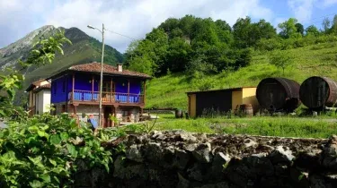 Casa Rural Aguas del Sella