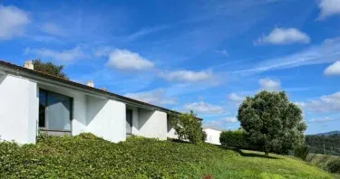 Olea Apartments & Multidisciplinary Space