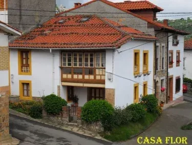 Casa Flor