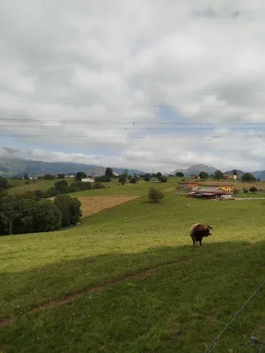 La Casina de Castiello