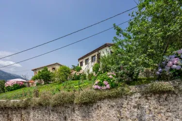 Vivienda Honorato