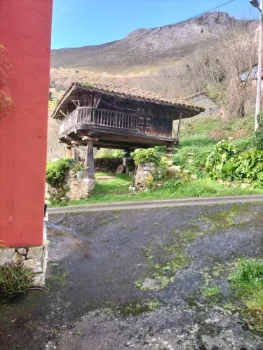 El Toral