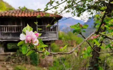 Casa La Parra