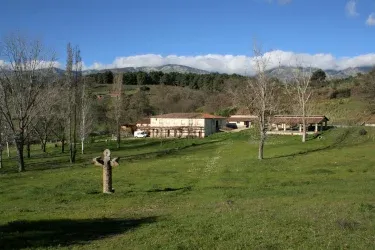 El Tejar de las Cañadas