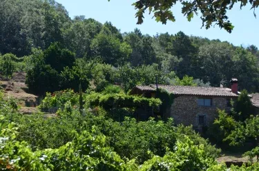Finca Banastero