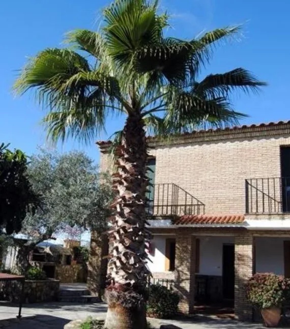 Alojamiento Rural El Campito