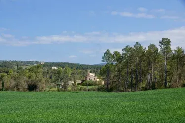 Cal Panxeta