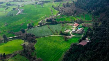 Mas Vinyoles