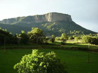 El Colomer