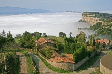 Can Feló