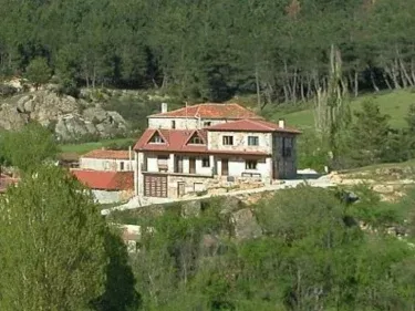 Roble Gordo