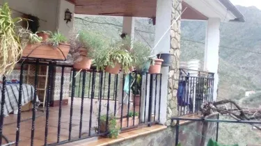Casa del Ratón y la Rana