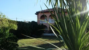 La Sombra del Alcornoque