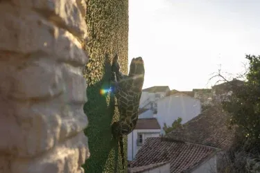 Casa Rural U Lagartu 
