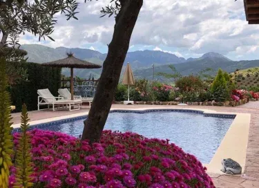 Villa Los Rosales