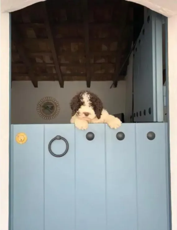 La Puerta Azul