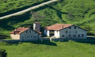 Primorías Camijanes