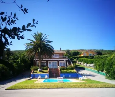 La Palmera de la Playa