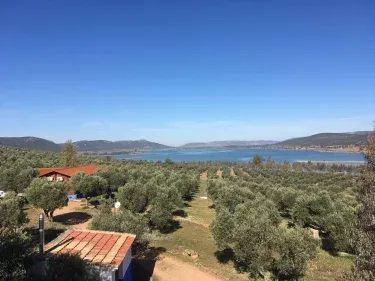 Las Cabañas del Pantano